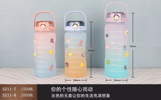 太空壶双饮渐变系列